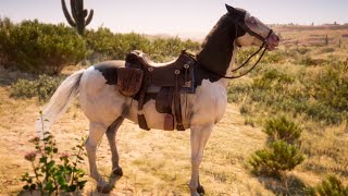 CABALLO TRISTE | RED DEAD REDEMPTION 2