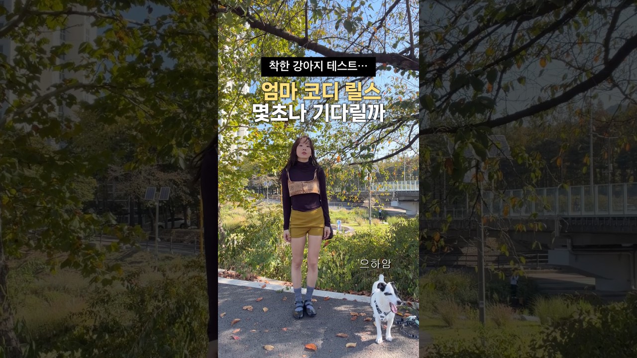 코디릴스 찍는동안 강아지의 참을성