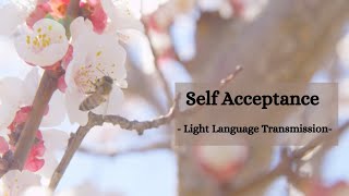 Self Acceptance  - Light Language Transmission ✨️