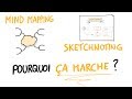 Mind mapping sketchnoting pourquoi a marche 