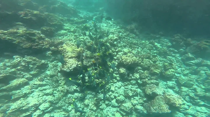 GOPRO105   edit1
