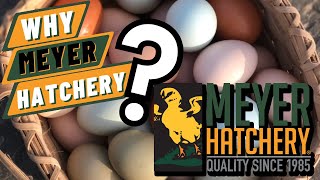 Top 10 Reasons to Choose Meyer Hatchery