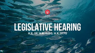 Hybrid WOW Legislative Hearing – November 16, 2021