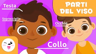 Le parti della testa - Il corpo umano per bambini - Vocabolario