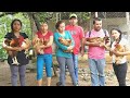 Vivero De Gallinas Criollas| Venimos a Comprar para Doña CONSUELO # 1/3