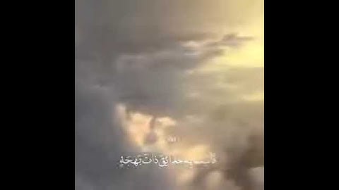 #تلاوة#خشوع حالاتواتس اب اسلامية قرأن ❤️ايات قرأنية مقاطع انستقرام( @)