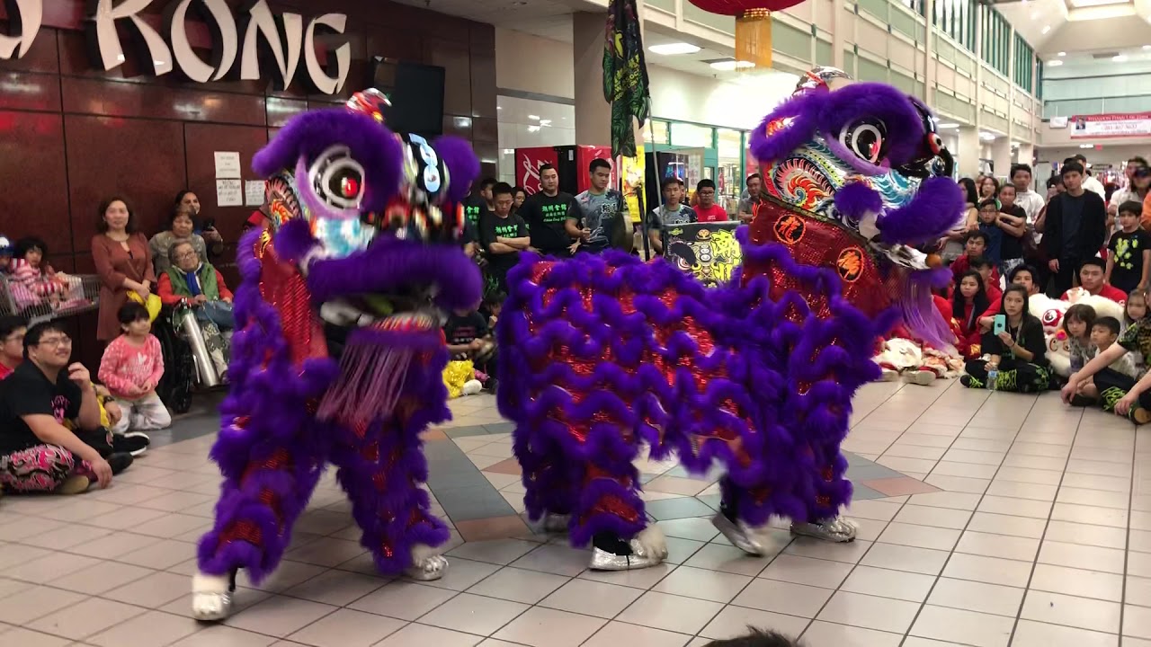 Houston Lion Dance Meet Up 2018 Soaring Phoenix YouTube