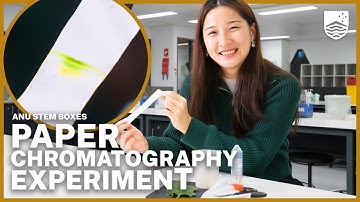 How to do simple paper chromatography with spinach