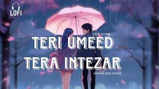 Teri Umeed Tera Intezar || ( slowed X reverb) || Deewana ||