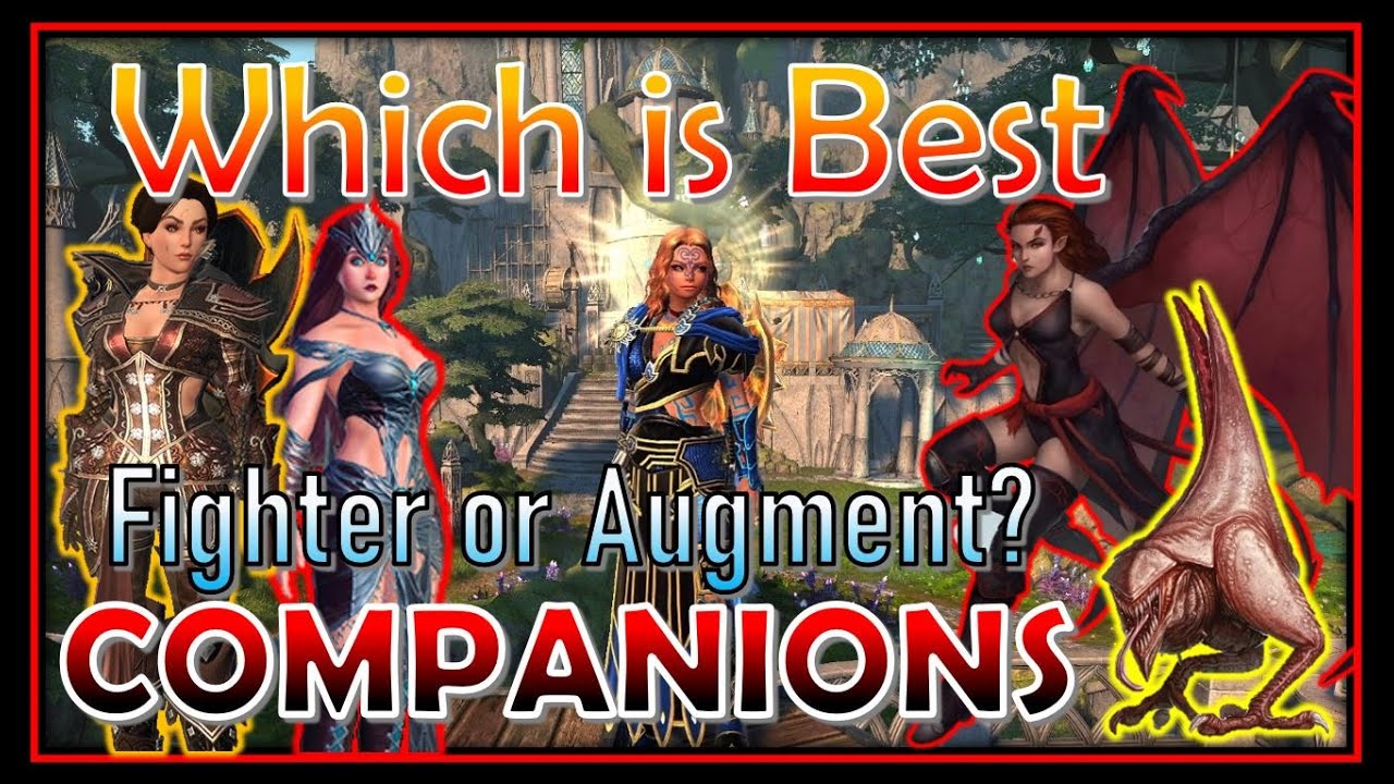 Fighter Or Augment Which BEST For DPS Max Damage Companion Balancing
