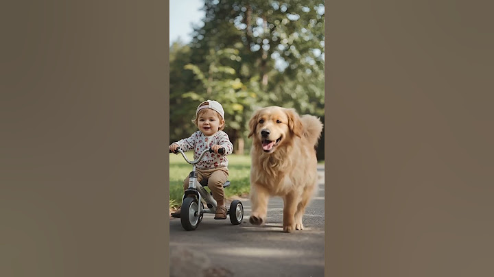 Loyal Dog Runs Beside Baby on Tricycle—Then Saves Him in Seconds! 🐶👶❤️