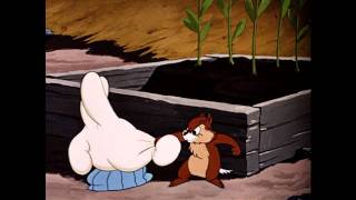 Chip n Dale: Food for Feudin