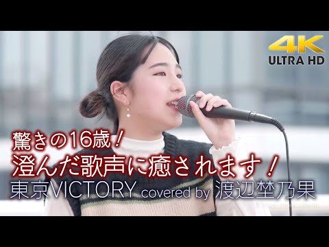 【 歌うま 】驚きの16歳！澄んだ歌声に癒されます！　東京VICTORY / サザンオールスターズ（ covered by 渡辺埜乃果 わたなべ ののか ）高音質4K映像