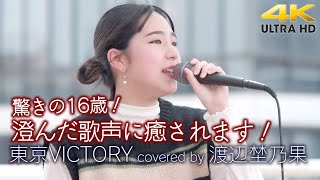 【 歌うま 】驚きの16歳！澄んだ歌声に癒されます！　東京VICTORY / サザンオールスターズ（ covered by 渡辺埜乃果 わたなべ ののか ）高音質4K映像