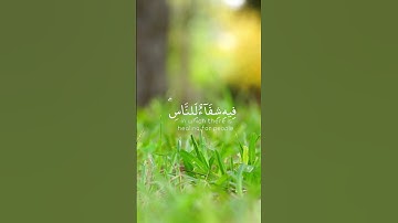 سورة النحل حالات واتساب قران