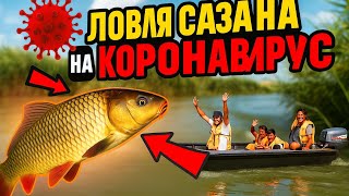 Ловля дикого сазана на коронавирус.Дагестан Средний канал.