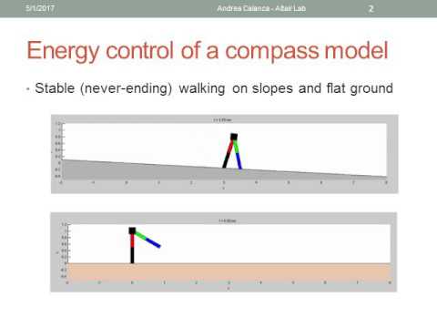 Energy control of a compass model