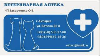 Ветеринарная аптека Ахтырка , www.Brillion-Club.com Ветеринарная аптека Ахтырка , www.Brillion-Club.com