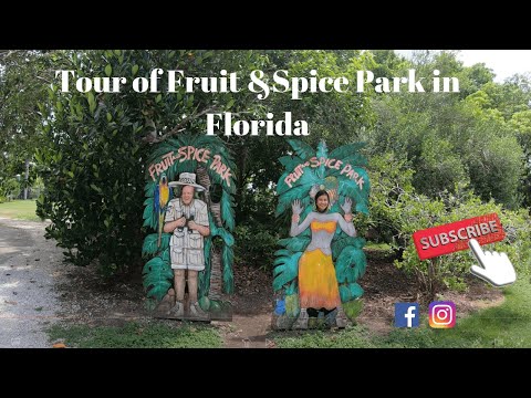 Video: Fruit & Spice Park: la guida completa