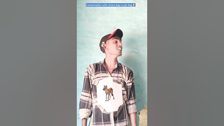 Conversation with street dog vs pet dog 🐶| #comedy #shorts