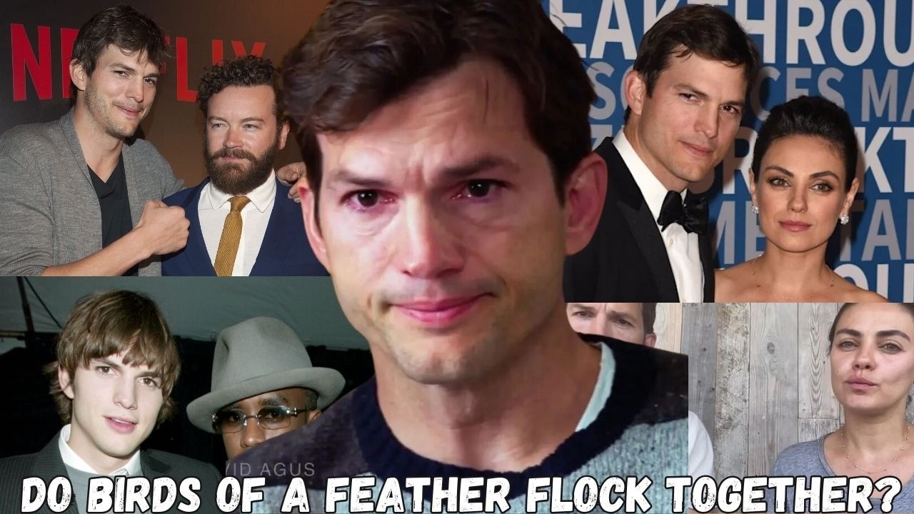 The fall of Ashton Kutcher ll How Association Ruins Your Reputation