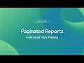 Paginated Reports in Microsoft Fabric Planning