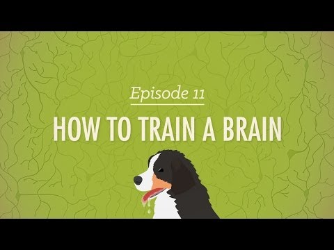 How To Train A Brain: Crash Course Psychology #11