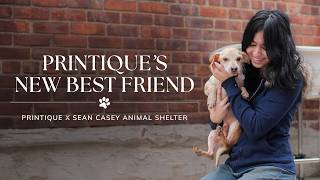 Pet Week at Printique featuring Sean Casey Animal Shelter!