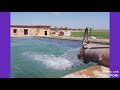 جمال فؤاد ابوس تراب بلدي     
