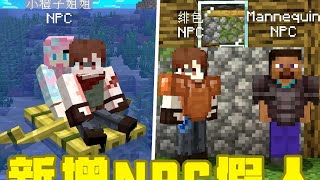我的世界更新曝光!新增NPC假人!