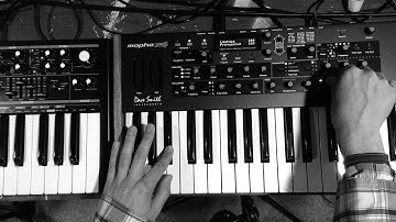 DSI Mopho X4 & Novation BassStation 2 - 24db Low Pass Filter Comparison (HQ)