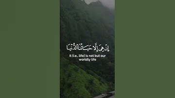 اكتب إسم سورة و القارئ مي تعليقات #القرآن_الكريم #اكسبلور #صلوا_على_النبي #الجزائر