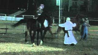 leggenda del cavallo arabo...wmv