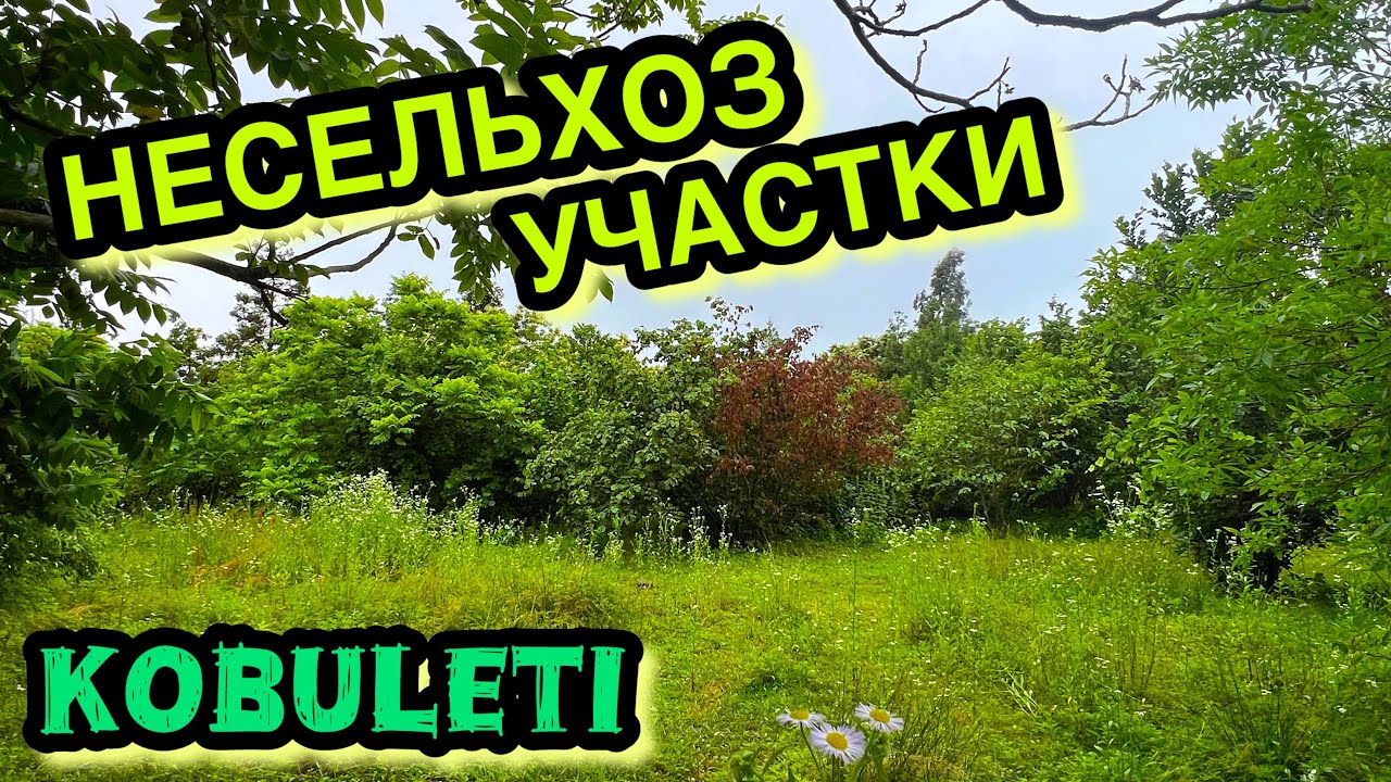 Несельхоз участки в городе Кобулети