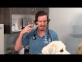 Addison's Disease in Pets - NTV News