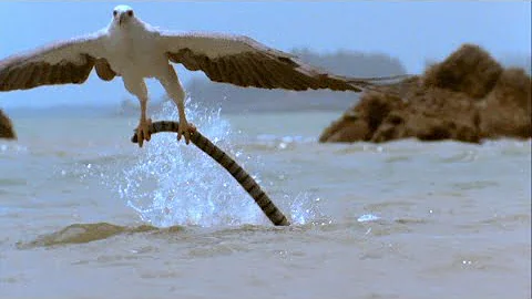 Cosa significa il Serpente nella Bibbia?