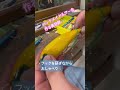 ハンドメイドルアーを作る美容師の独り言💇