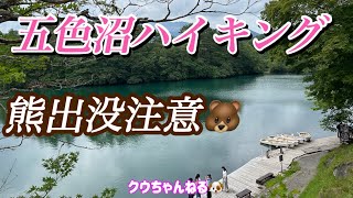 【五色沼ハイキング】熊出没につき断念🐻山塩らーめん最高🍜