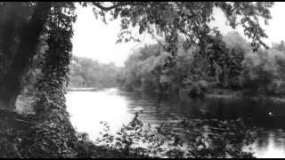 Details PULASKI COUNTY INsight: Brief History Guide