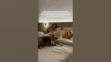 Thumbnail of Maybe there’s a better way?