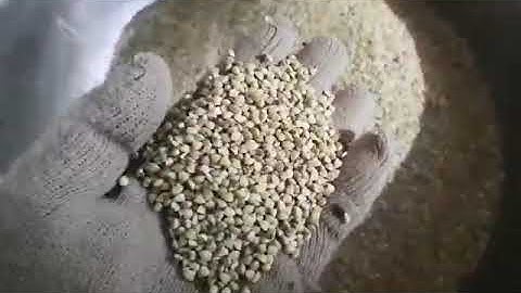 Buckwheat dehulling and sorting machine/buckwheat husker