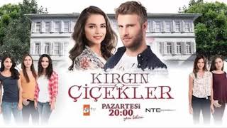 Kırgın Çiçekler Dizi Müzikleri-Acı Resimi