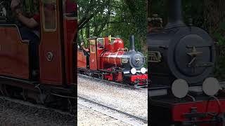Just 1 Minute of mini steam engines chuffing past