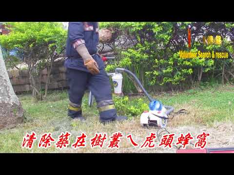 清除築在樹叢ㄟ虎頭蜂窩070710