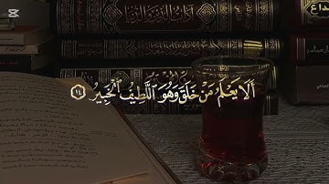 •سورة الملك  ❤️‍🩹     •القارئ عثمان مشعل الحداد 🕊️        #راحة_نفسية 