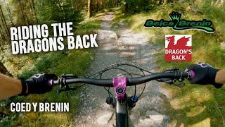Dragons Back | Coed Y Brenin Red Trail Resimi