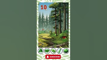 Hidden Objects Game Short #2- Forest | Can You Find All the HIDDEN Objects?