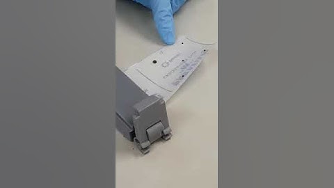 Loading the gel - Addition of sample loading buffer to PCR product