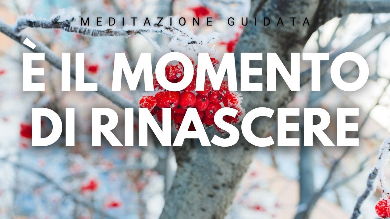 Meditazione Guidata per Iniziare Nuovi Progetti e Attrarre Gioia (15 ...