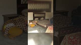 Cleaning Roomdesi Rang Mehvish Ke Sang